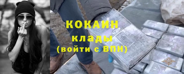 ECSTASY Богородск
