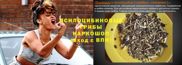 гидропоника Богородицк
