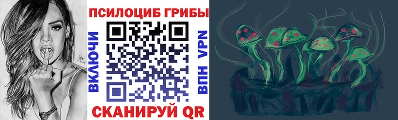 mega ССЫЛКА  Мезень  Галлюциногенные грибы Psilocybe 